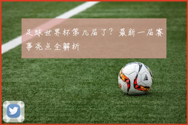 足球世界杯第几届了?最新一届赛事亮点全解析