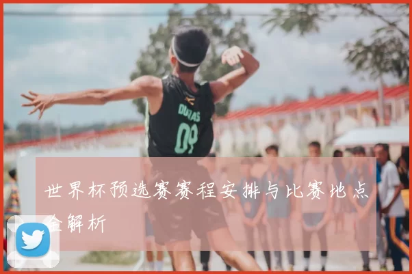 世界杯预选赛赛程安排与比赛地点全解析
