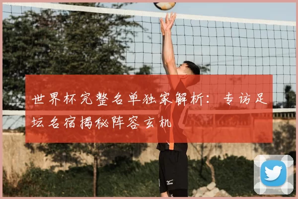 世界杯完整名单独家解析：专访足坛名宿揭秘阵容玄机
