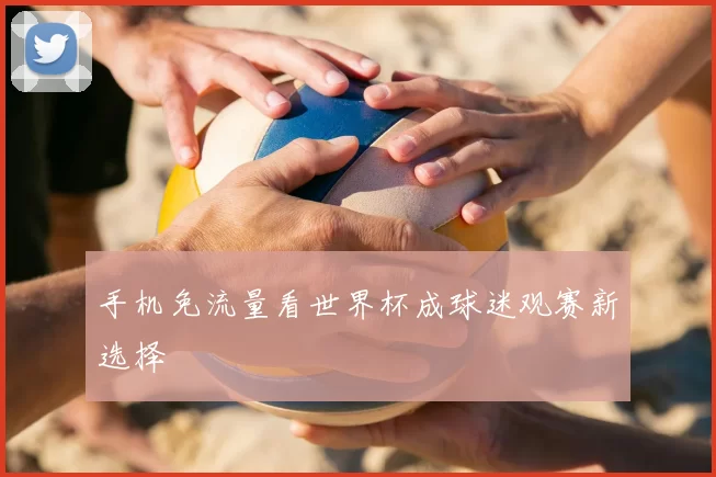 手机免流量看世界杯成球迷观赛新选择