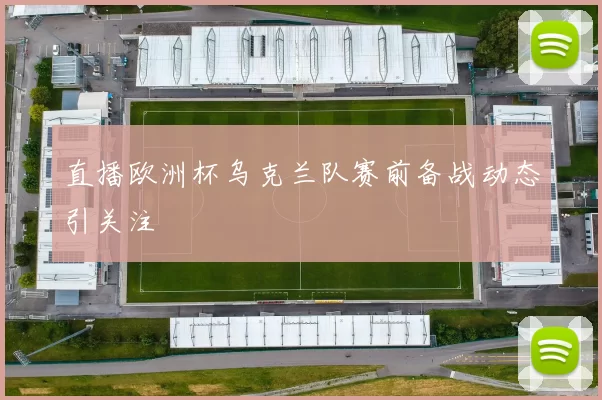 直播欧洲杯乌克兰队赛前备战动态引关注