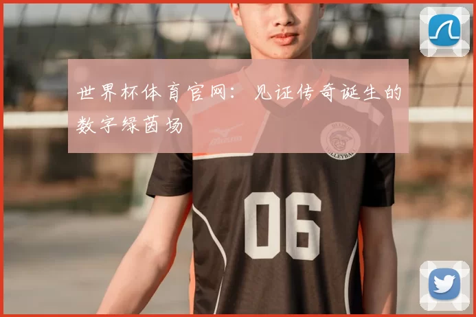 世界杯体育官网：见证传奇诞生的数字绿茵场