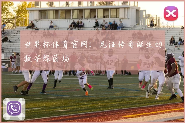 世界杯体育官网:见证传奇诞生的数字绿茵场