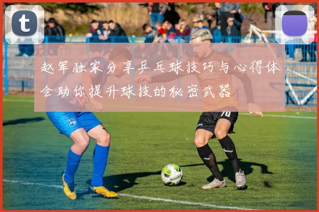赵军独家分享乒乓球技巧与心得体会助你提升球技的秘密武器